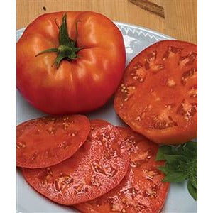 Tomato Beefsteak Seed Heirloom - 1 Packet