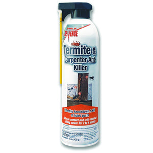 Bonide Revenge Termite & Carpenter Ant Killer Insecticide - 15 Oz.