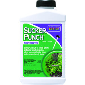 Sucker Punch Ready-To-Use Brush Top 8-oz