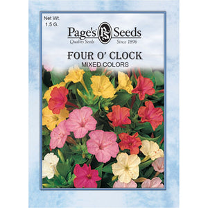 Four O’ Clock Marvel of Peru - Packet - Seed World