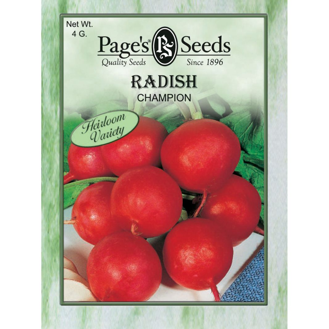 Radish Champion Seed - 1 Packet