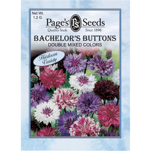 Bachelor Button Double Mix Seed - Packet