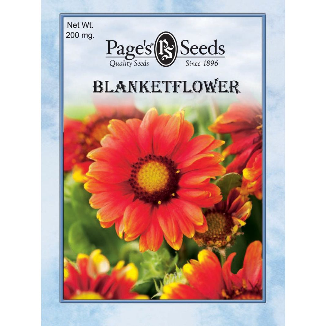 Blanket Flower Seed - 1 Packet