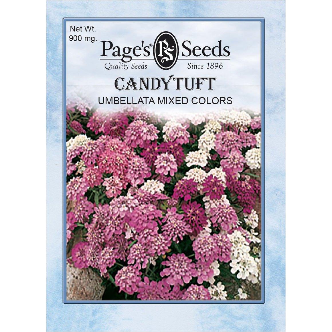 Umbrella Mix Candytuft Seeds - Packet