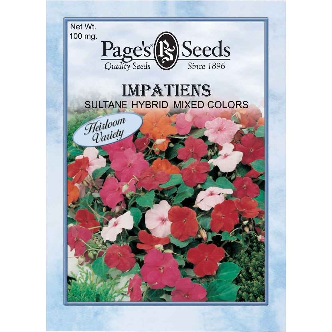 Impatiens Sultane Hybrid Mixed Colors - 1 Packet