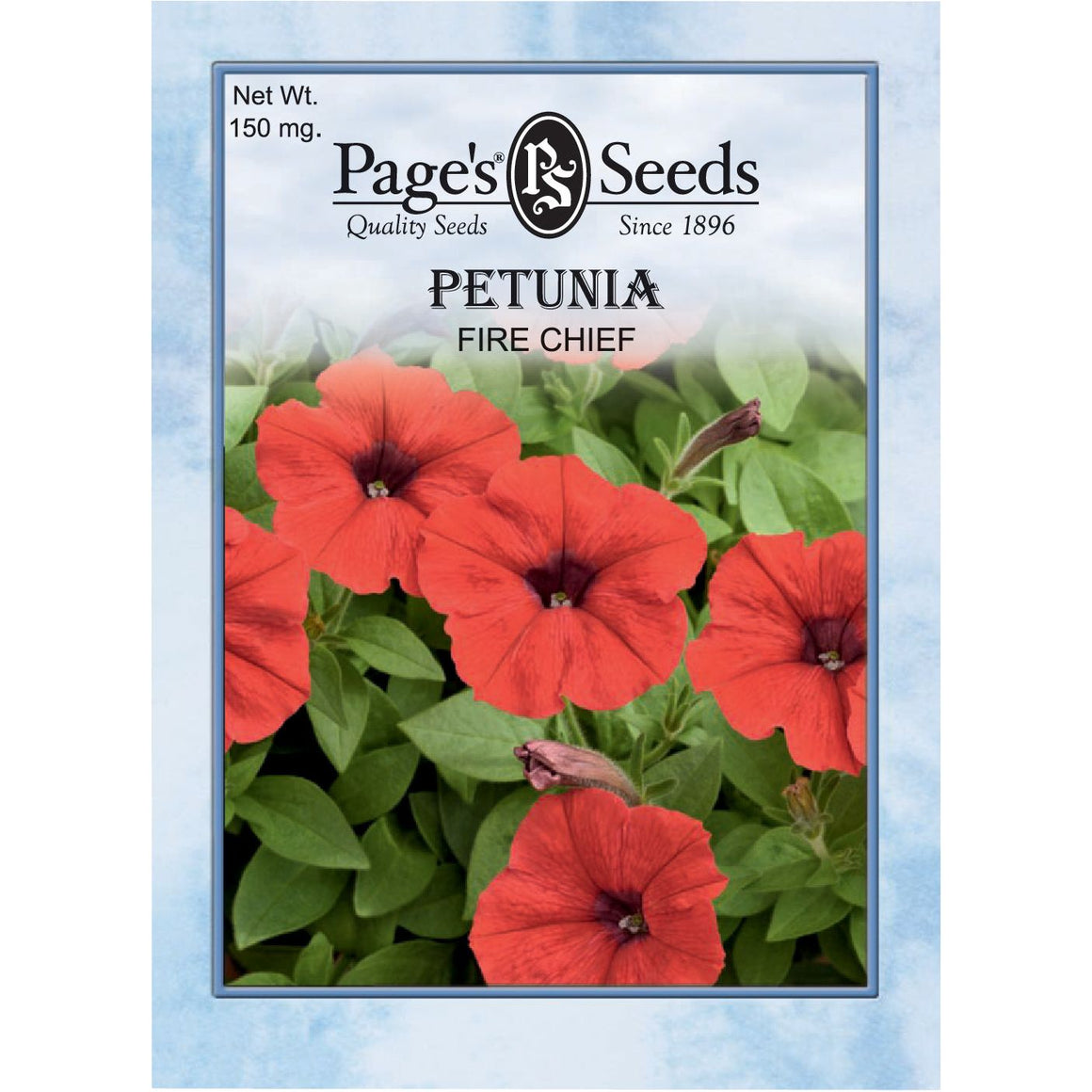 Fire Chief Petunia Seed - 1 Packet