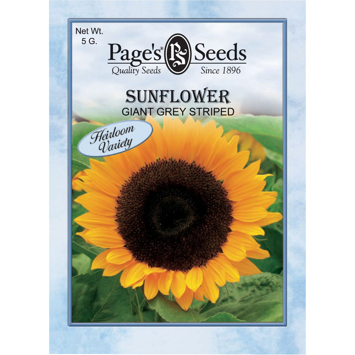 Giant Grey Striped Sunflower Seed - 1 Packet