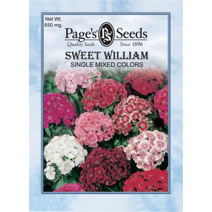 Sweet William Single Mixed Colors Seed - 1 Packet