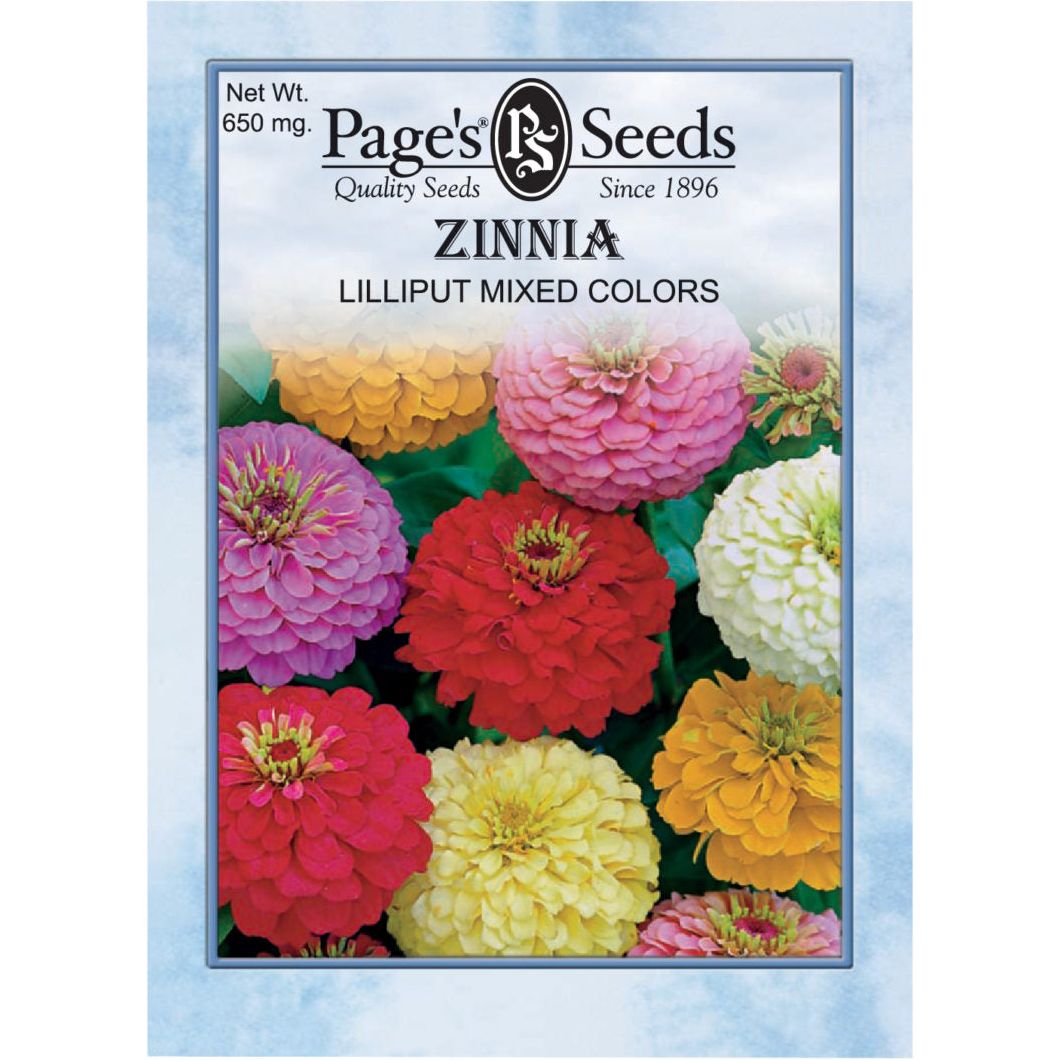 Zinnia Lilliput Mix Seed - 1 Packet