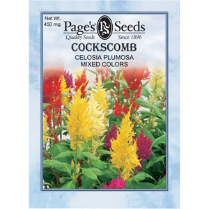 Cockscomb Plumosa Mixed Colors- Packet - Seed World