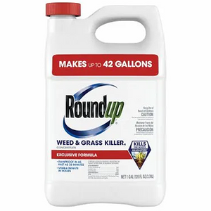 Roundup Weed and Grass Killer Concentrate Plus - 1 Gallon