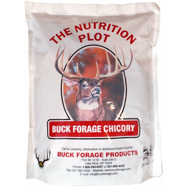 Buck Forage Chicory Seed - 4 Lbs. | Seed World