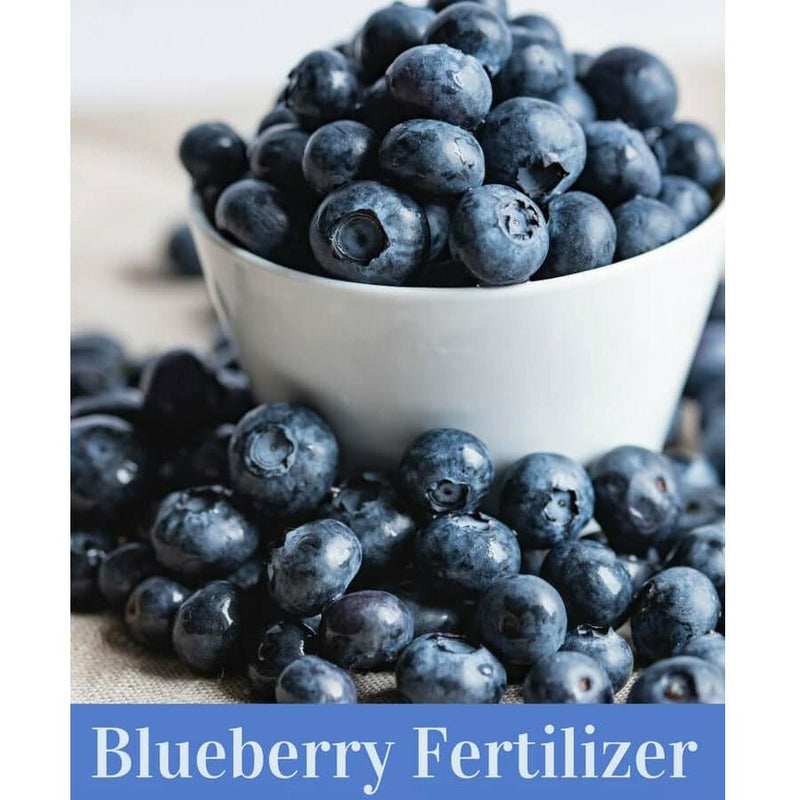 Blueberry Special 16-4-8 Fertilizer - 50 Lbs. | Seed World